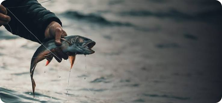 Best Places to Fish Near Me